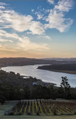 Tamar Valley