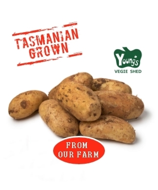 Tasmanian 5 kg Dutch Cream Potatoes
