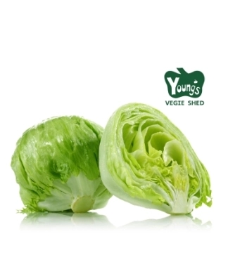 Australian Iceberg Lettuce