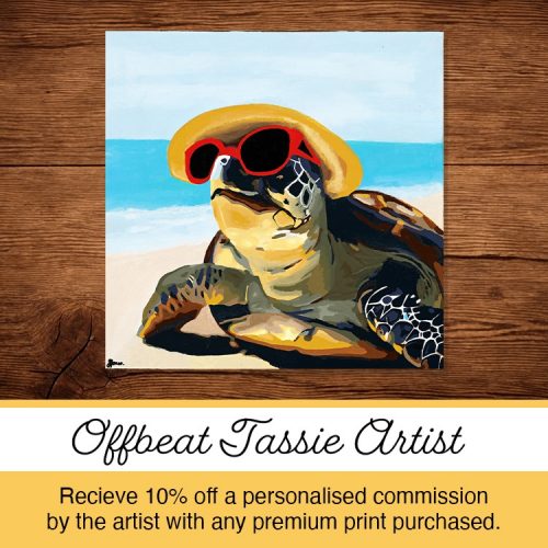 Turtle Offer