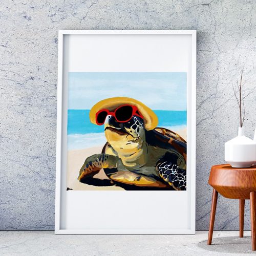 Turtle Visual