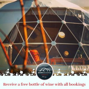 Domescapes Free Wine Offer