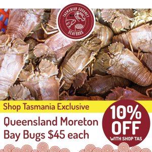 Queensland Moreton Bay Bugs