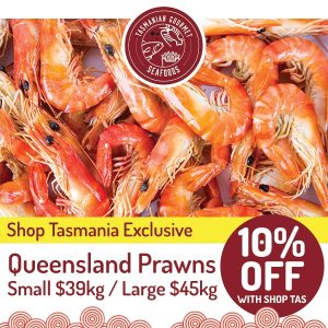 Queensland Prawns