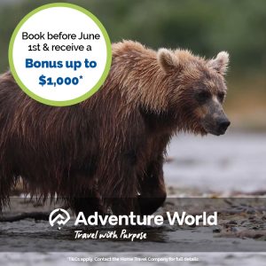 Home Travel Company - Adventure World