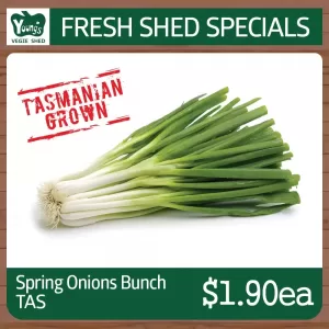 Tasmanian Spring Onions