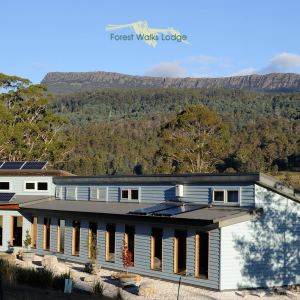 Forest Walks Lodge – Eco Tourism Experience