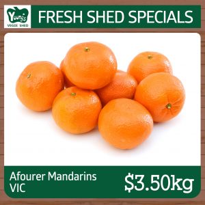 Australian Afourer Mandarins