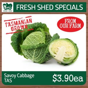 Tasmania Savoy Cabbage