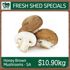 Australian Honey Brown Mushrooms