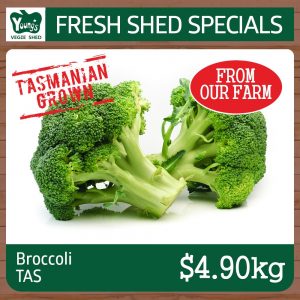 Tasmanian Broccoli