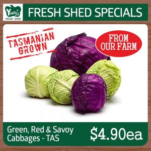 Tasmania Red, Green & Savoy Cabbage