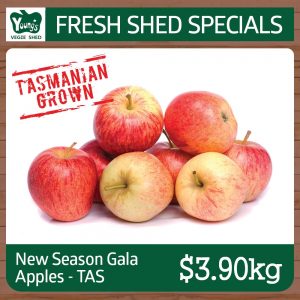 Tasmanian New Season Gala Apples