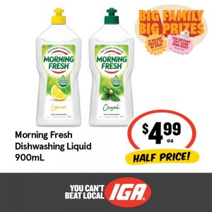Morning Fresh Dishwashing Liquid 900mL