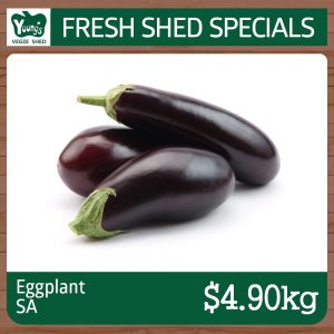 Australian Eggplant