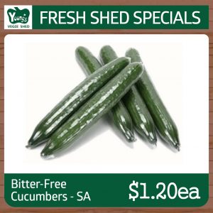 Australian Bitter-free Cucumber