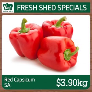 Australian Red Capsicum