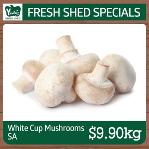 Australian White Cup Mushrooms