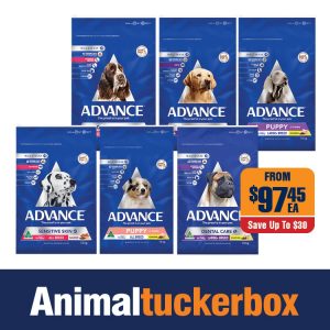 animal tuckerbox dog enclosure