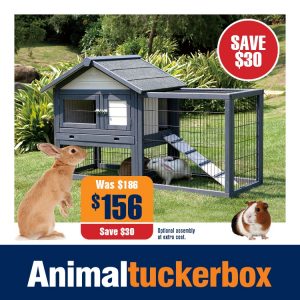 animal tuckerbox dog enclosure