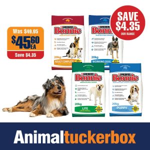 animal tuckerbox dog enclosure