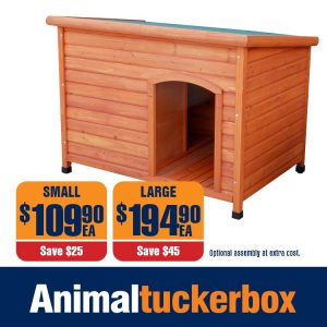 animal tuckerbox dog enclosure