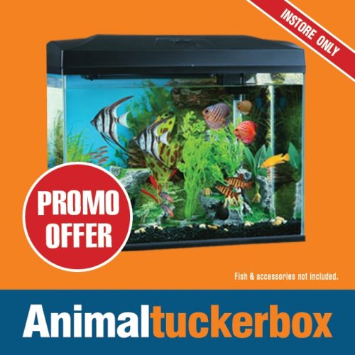 ATB Offers AUG2022 Fish Tanks