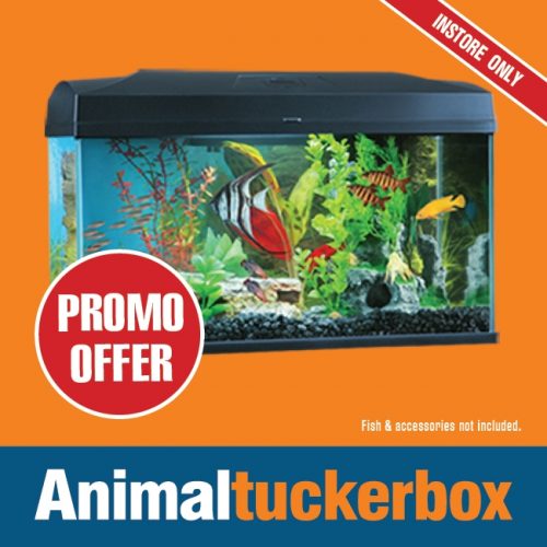 ATB Offers AUG2022 Fish Tanks2