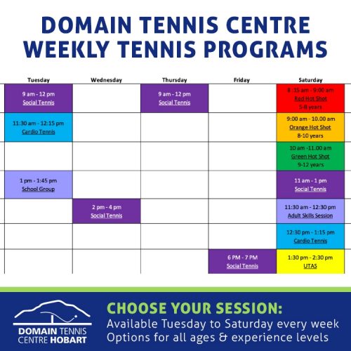 Domain Tennis Programs
