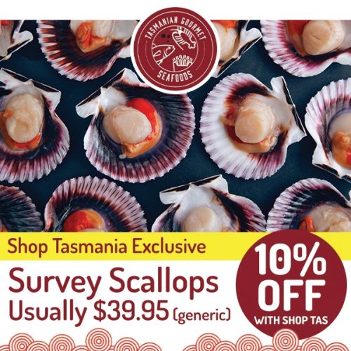 Gourmet Seafoods Survey Scallops