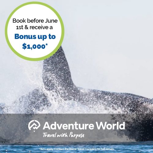 Home Travel Company Adventure World 2