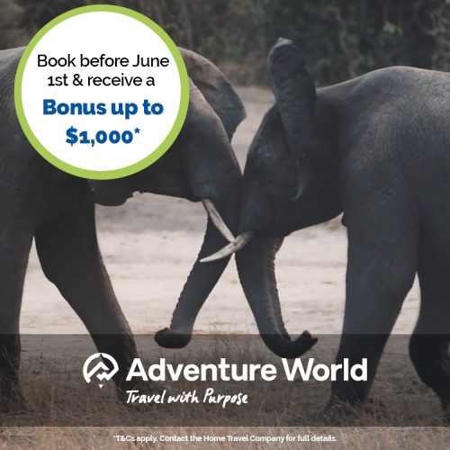 Home Travel Company Adventure World 4