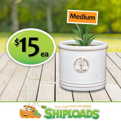 SHP Medium Planter