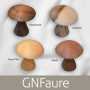 GN Faure Mushroom Types