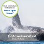 Home Travel Company Adventure World 2