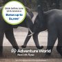 Home Travel Company Adventure World 4