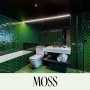 Moss Image6