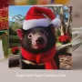 Tassie Devil Scarf Xmas Card