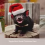 Tassie Devil Smile Xmas Card